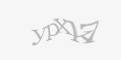 Защитный код