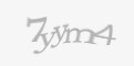 Защитный код